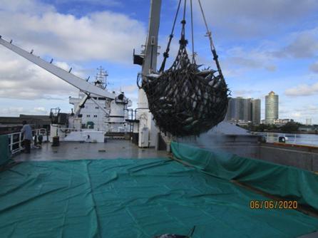 SSUN CARGO2020_05.JPG SSUN CARGO2020_05.JPG